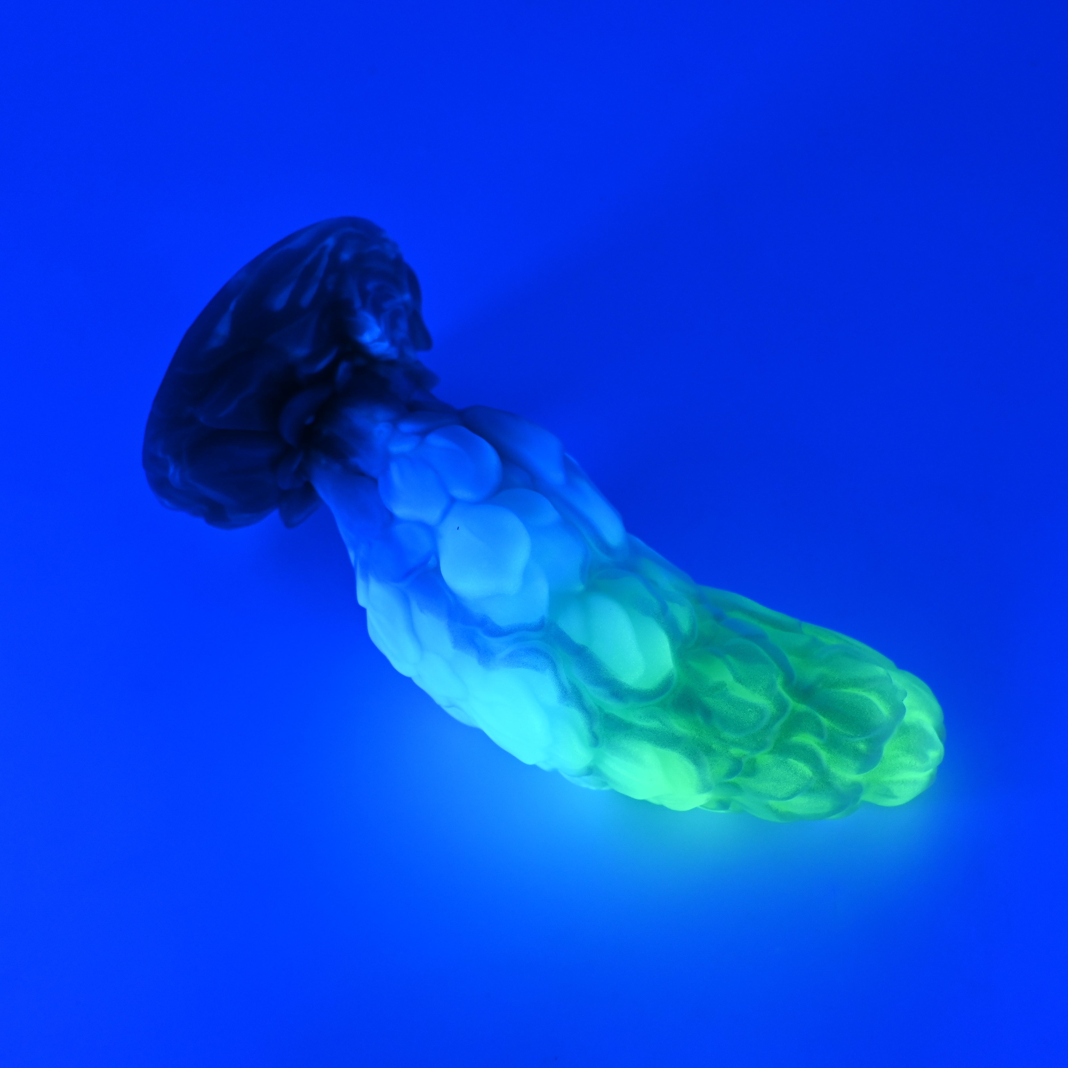 B3SKJ81 Flora Medium 0030 UV GITD CS