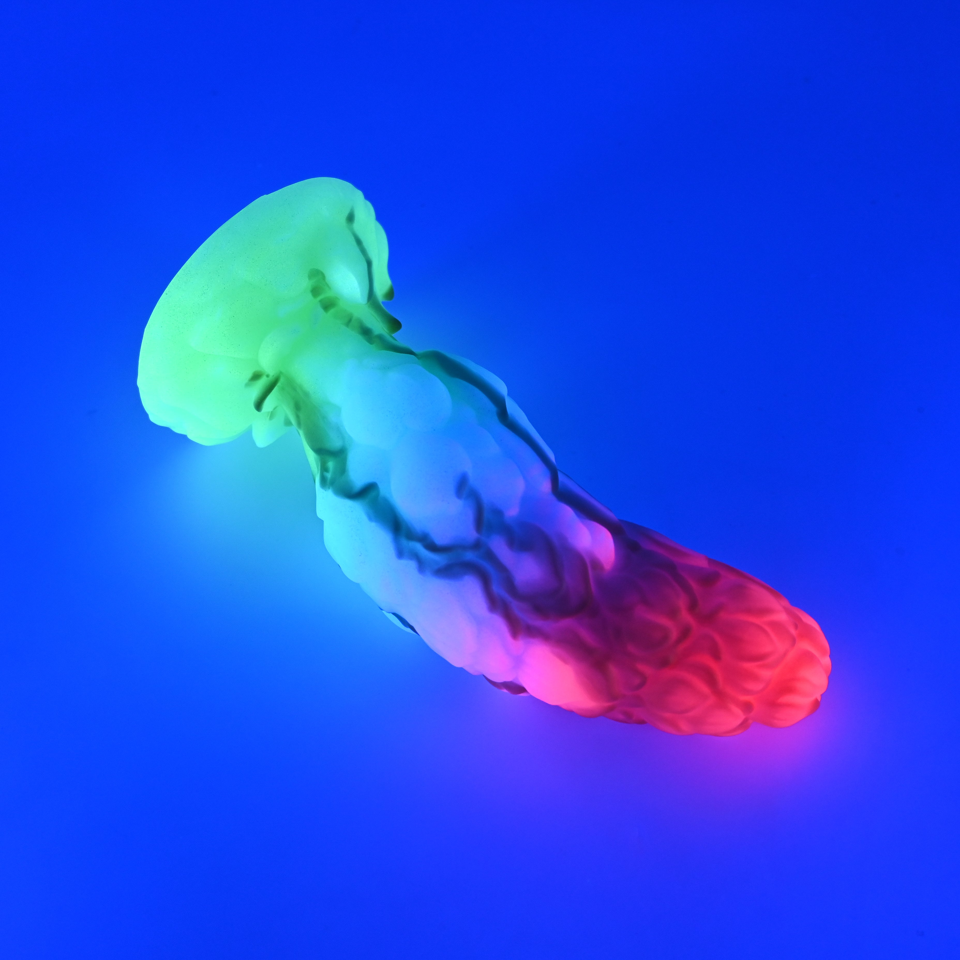 B3MKJ82 Flora Medium 0050 UV GITD