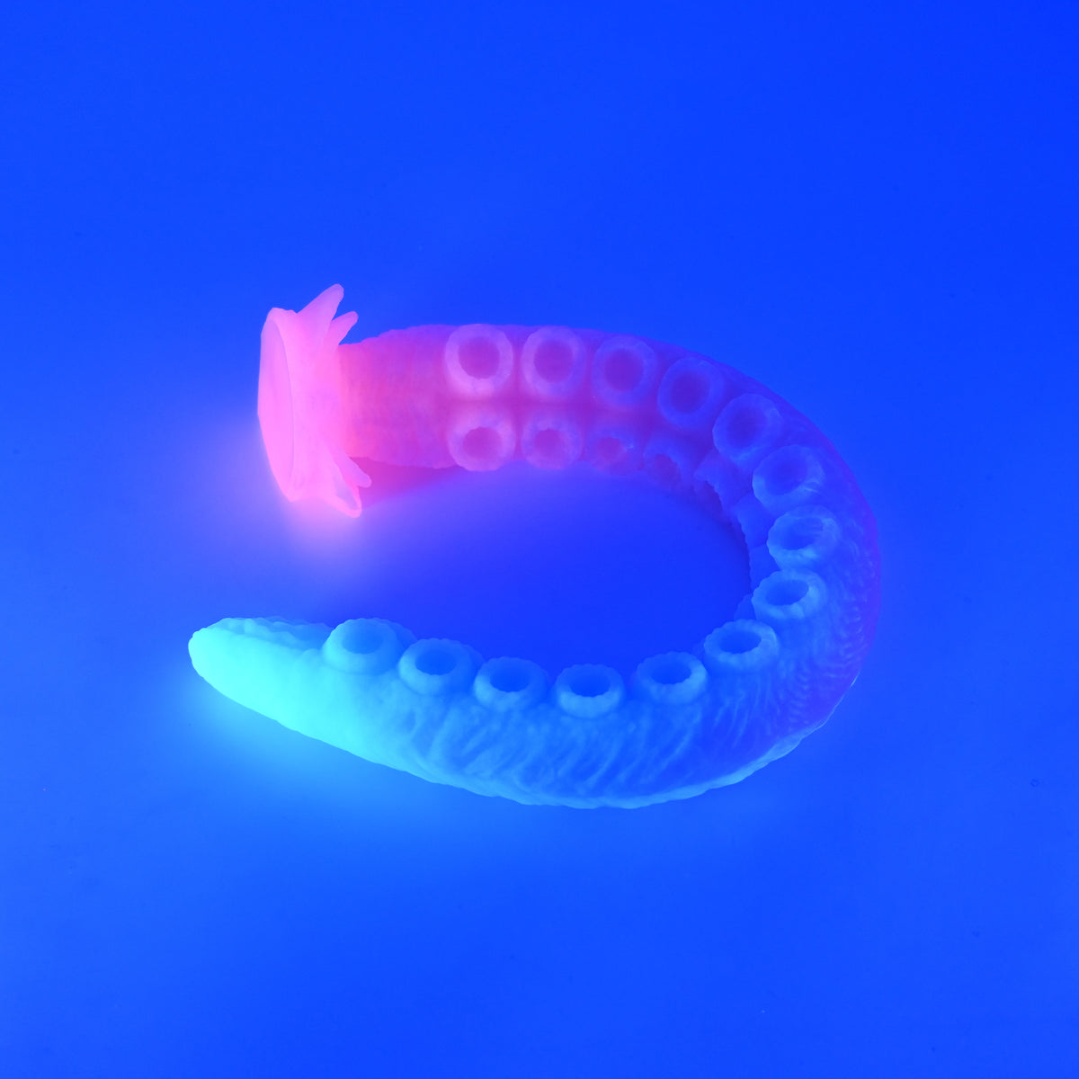 E4XKJ90 Illex Large 0020 UV GITD