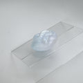 1BSKJ20 Ball Python Squish 0030 CS
