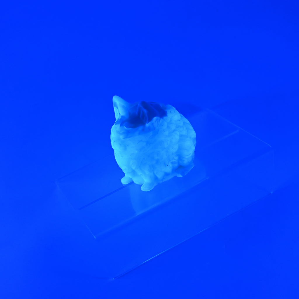 1PMKJ21 Puppicorn 0050 UV CS