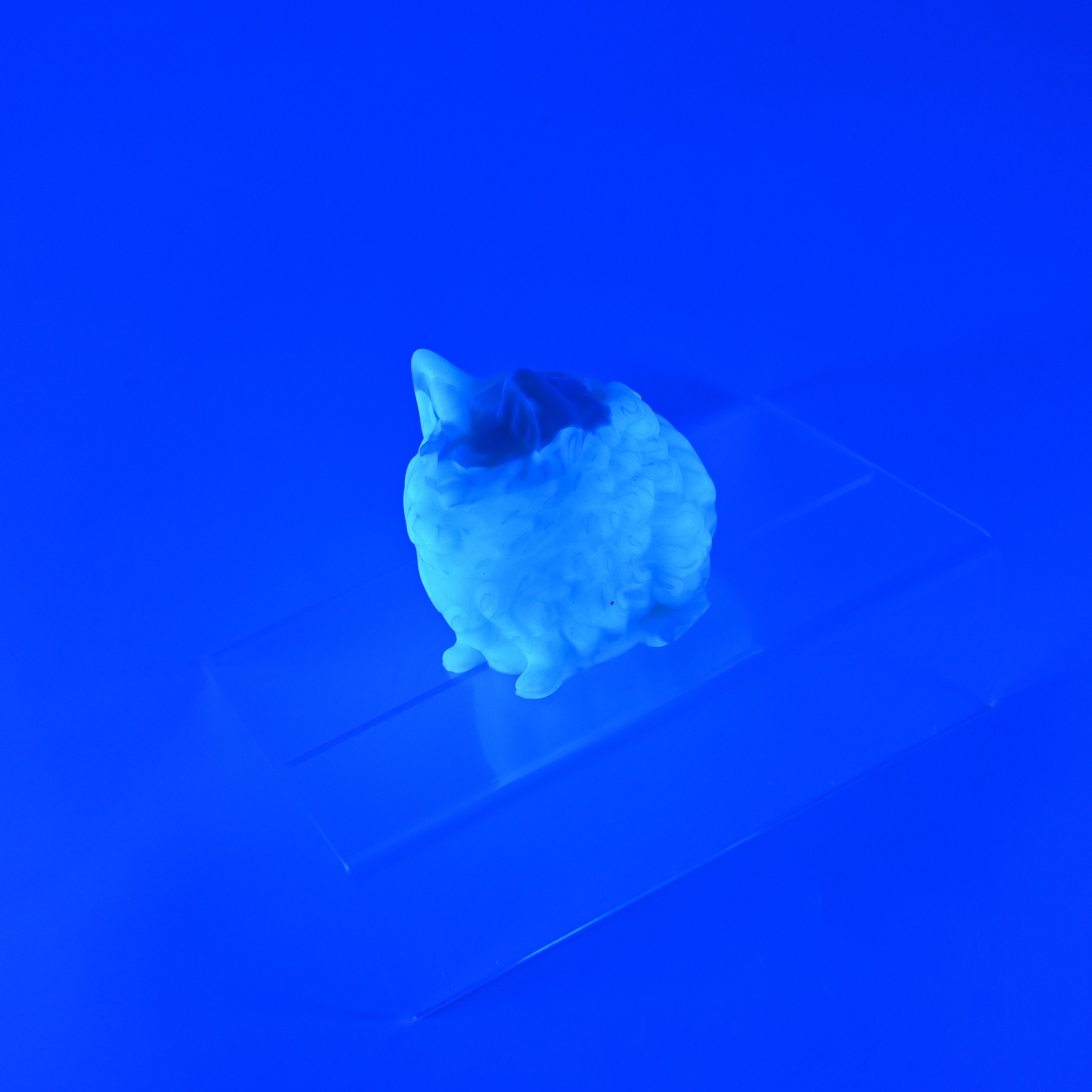 1PMKJ21 Puppicorn 0050 UV CS