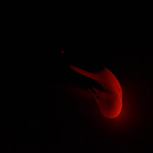 Load image into Gallery viewer, G2MHG94 Ignis Small 0050 UV GITD
