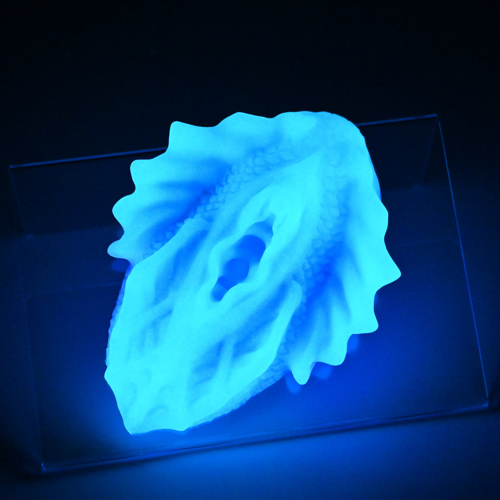 C2XKM26 Calypso Small 0020 UV GITD