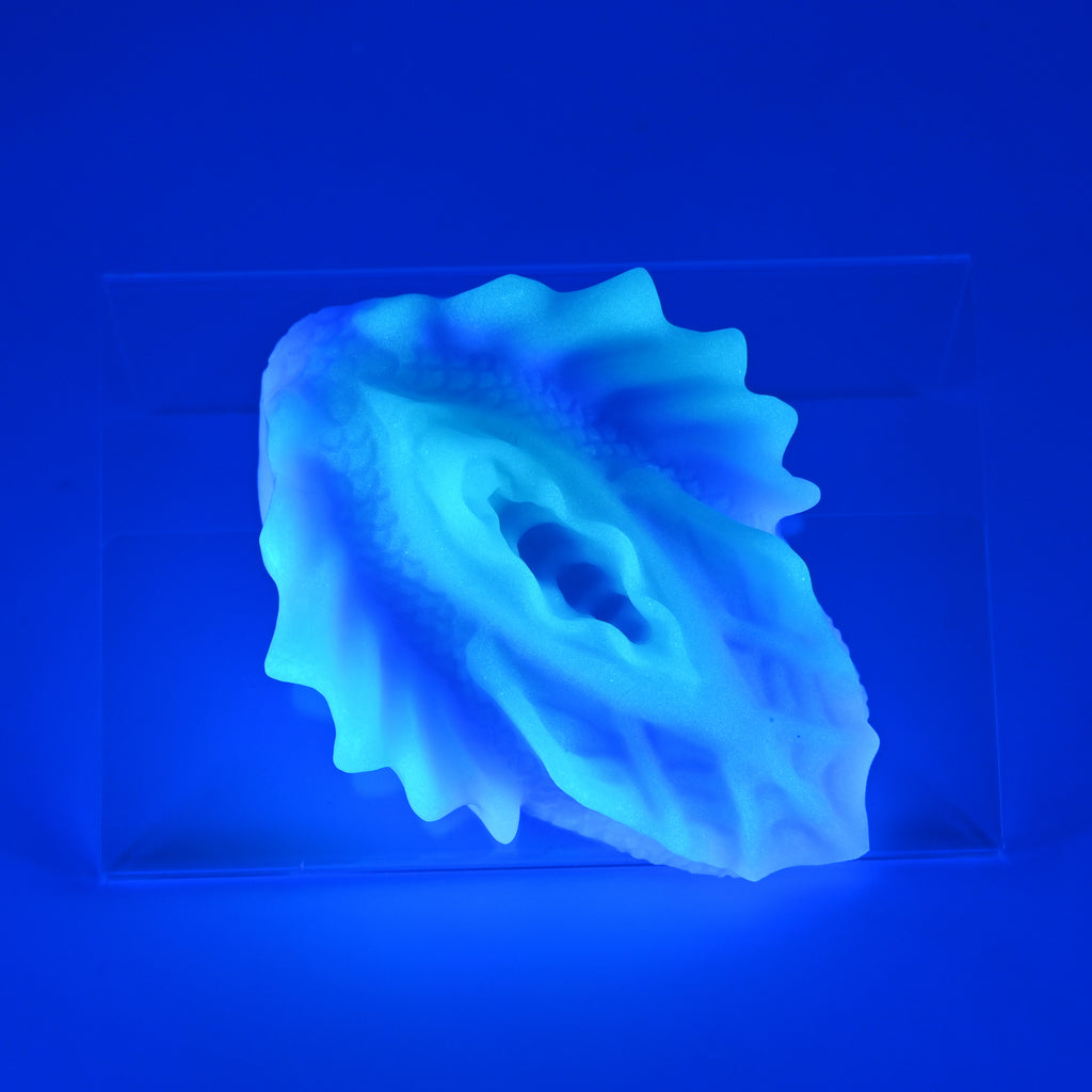 C2SKM27 Calypso Small 0030 UV GITD