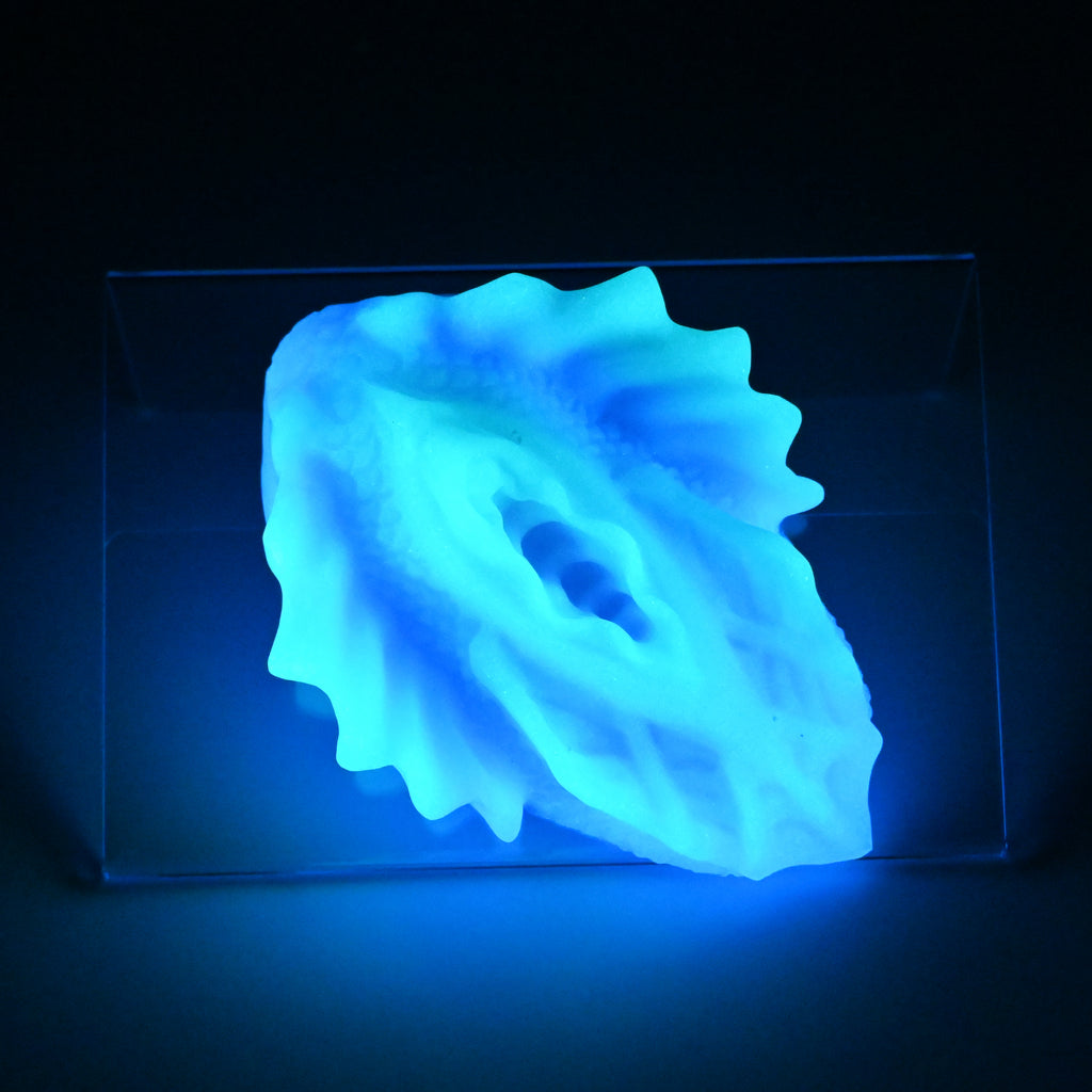 C2SKM27 Calypso Small 0030 UV GITD