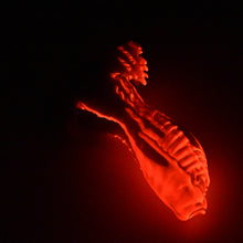 Load image into Gallery viewer, X3SJK52 Shin Medium 0030 UV GITD

