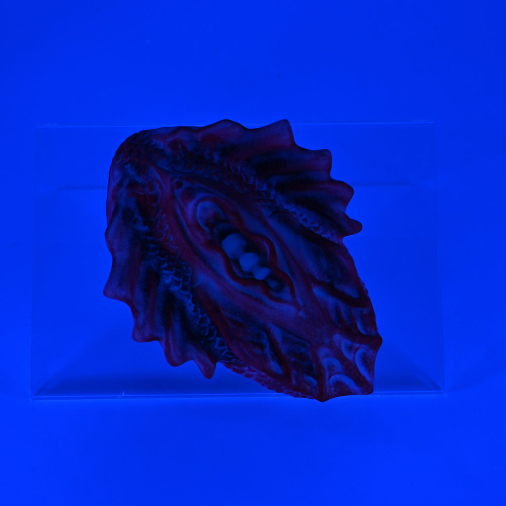 C2SKM29 Calypso Small 0030 UV GITD