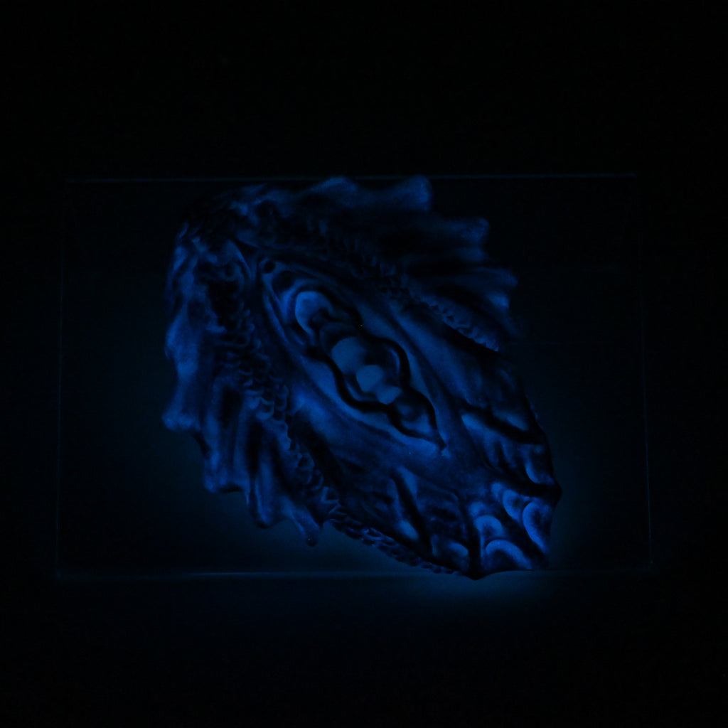 C2SKM29 Calypso Small 0030 UV GITD
