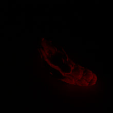 Load image into Gallery viewer, B2SJH25 Flora Small 0030 UV GITD
