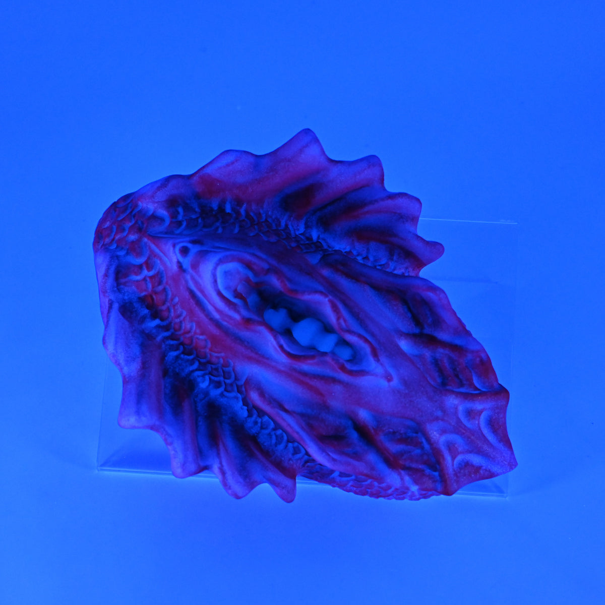 C4SKM32 Calypso Large 0030 UV GITD