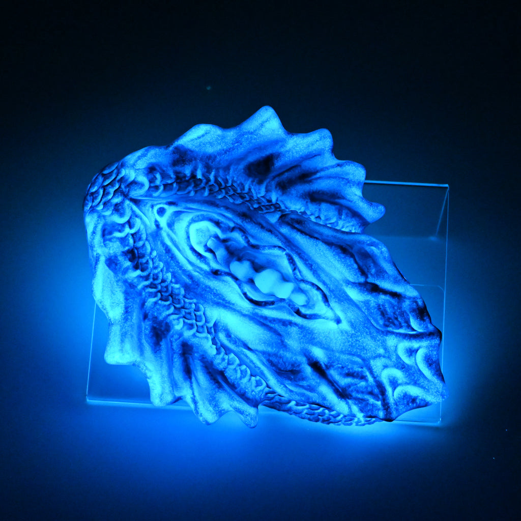 C4SKM32 Calypso Large 0030 UV GITD