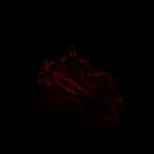 Load image into Gallery viewer, A2SJH12 Alara Small 0030 UV GITD
