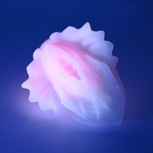 Load image into Gallery viewer, C2SGG56 Calypso Small 0030 UV GITD
