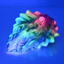 Load image into Gallery viewer, C4XEE04 Calypso Large 0020 UV GITD
