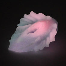 Load image into Gallery viewer, C2MGG57 Calypso Small 0050 UV GITD
