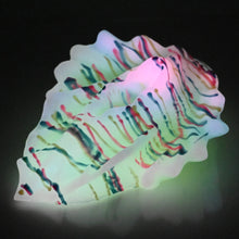 Load image into Gallery viewer, C4XEE03 Calypso Large 0020 UV GITD
