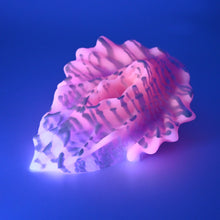 Load image into Gallery viewer, C4MGG63 Calypso Large 0050 UV GITD
