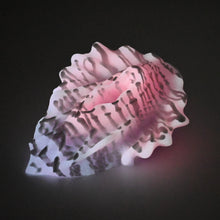 Load image into Gallery viewer, C4MGG63 Calypso Large 0050 UV GITD
