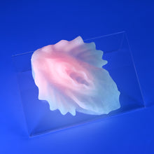 Load image into Gallery viewer, C2MJL43 Calypso Small 0050 UV GITD

