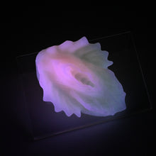 Load image into Gallery viewer, C2MJL43 Calypso Small 0050 UV GITD
