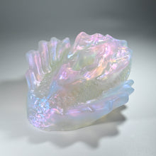 Load image into Gallery viewer, C4TGG66 Calypso Large NC 0031 CS
