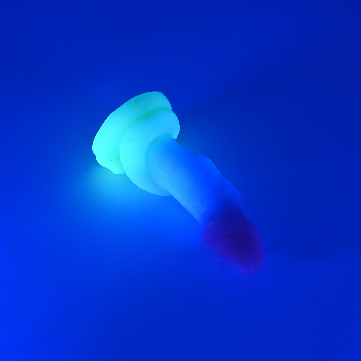 32XKL38 Celia Small 0020 UV GITD