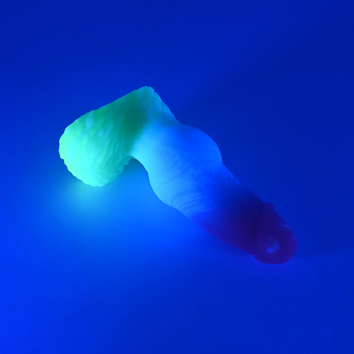 52XKL79 Jacob Small 0020 UV GITD