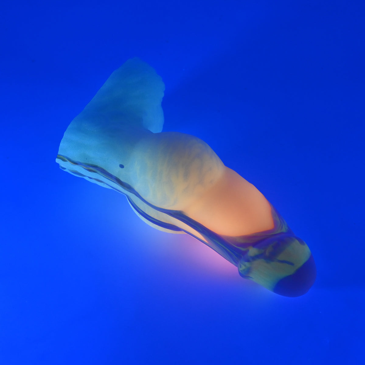 53SKL83 Jacob Medium 0030 UV GITD