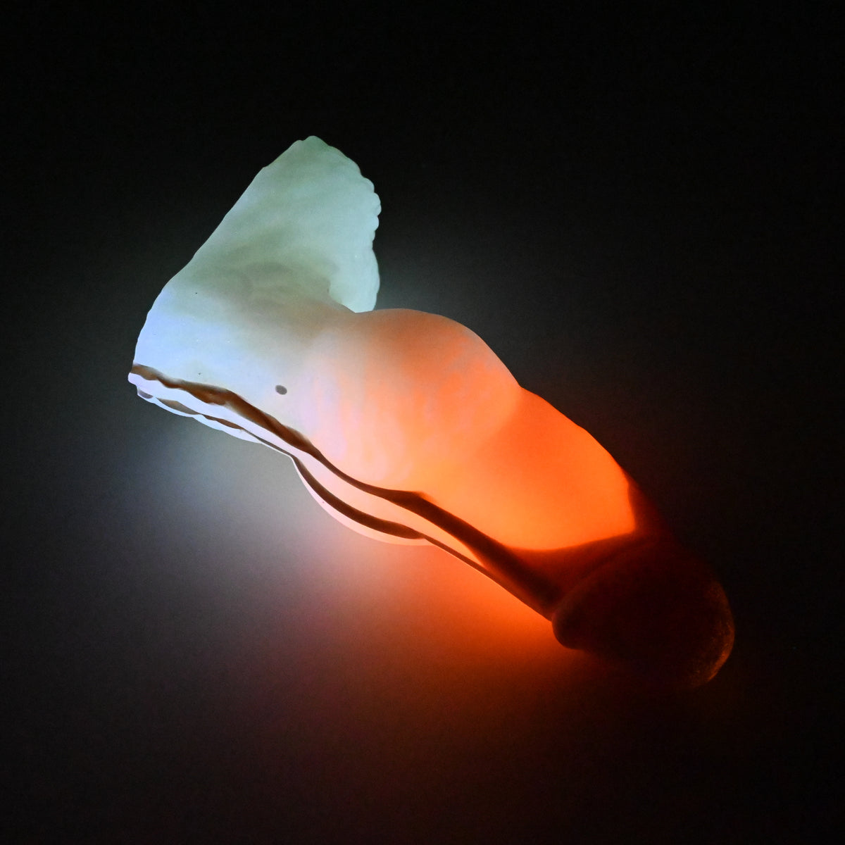 53SKL83 Jacob Medium 0030 UV GITD