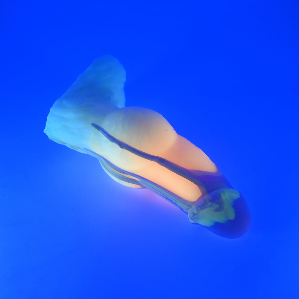 54SKL90 Jacob Large 0030 UV GITD