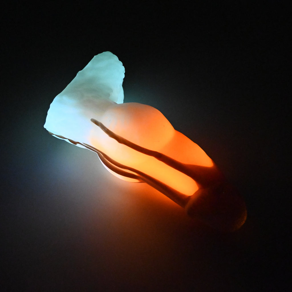 54SKL90 Jacob Large 0030 UV GITD