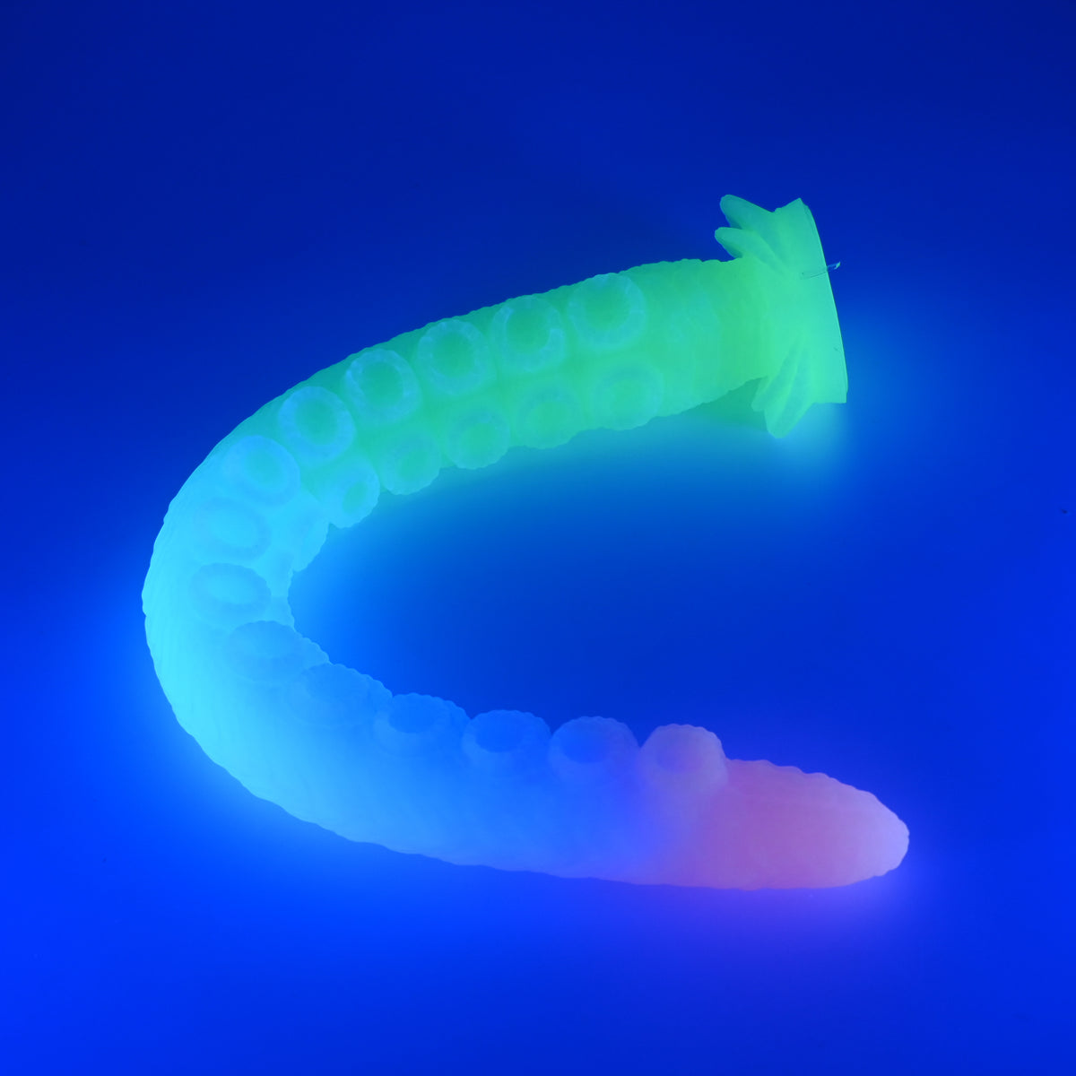E4MHG88 Illex Large 0050 UV GITD