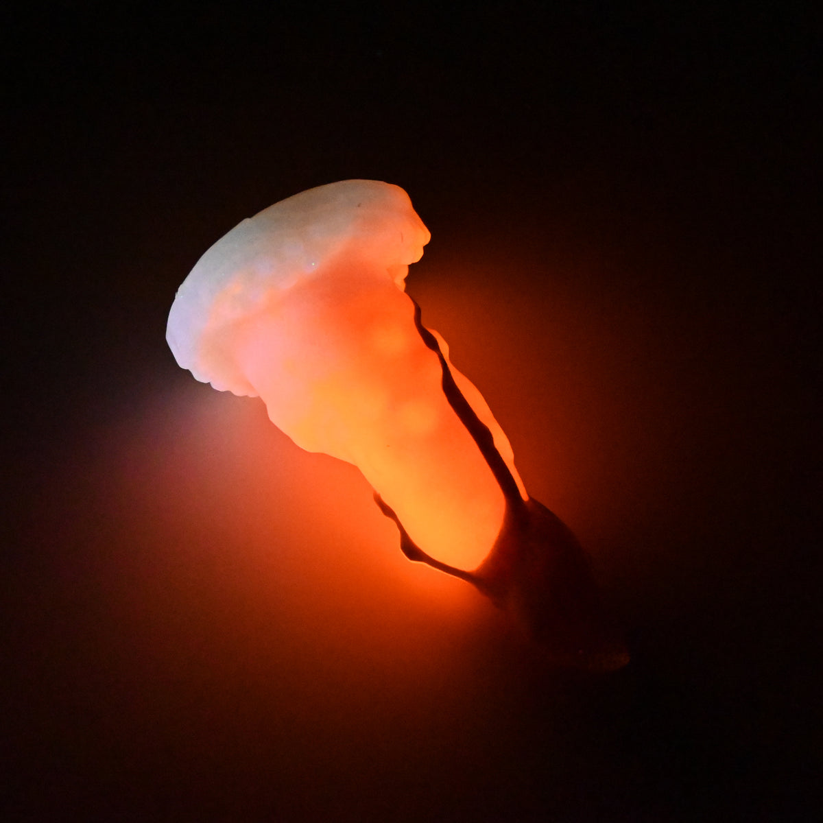 N1SKM67 Nereid Mini 0030 UV GITD