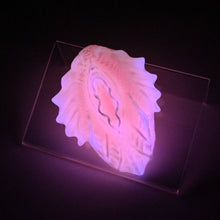 Load image into Gallery viewer, C2XHJ32 Calypso Small 0020 UV GITD
