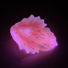 Load image into Gallery viewer, C4XHJ34 Calypso Large 0020 UV GITD
