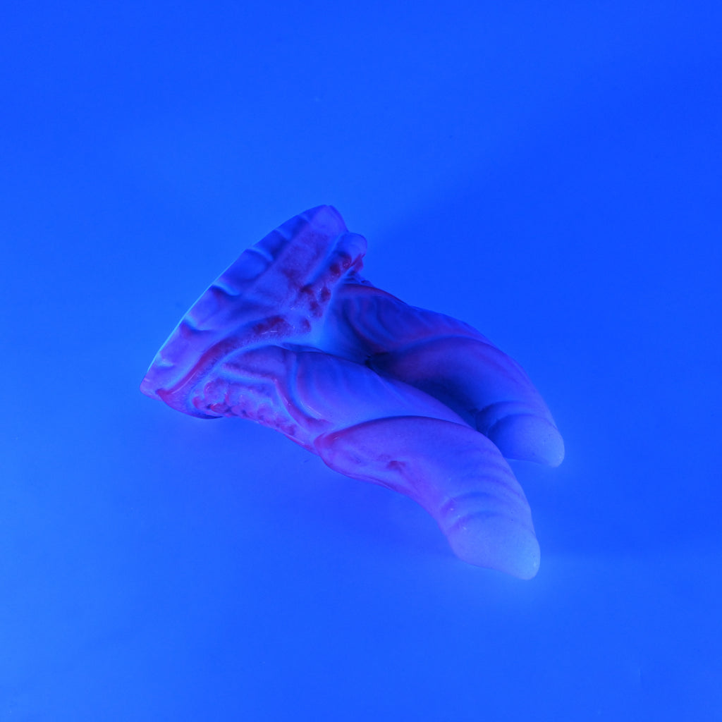22SKL25 Vasuki Small 0030 UV GITD