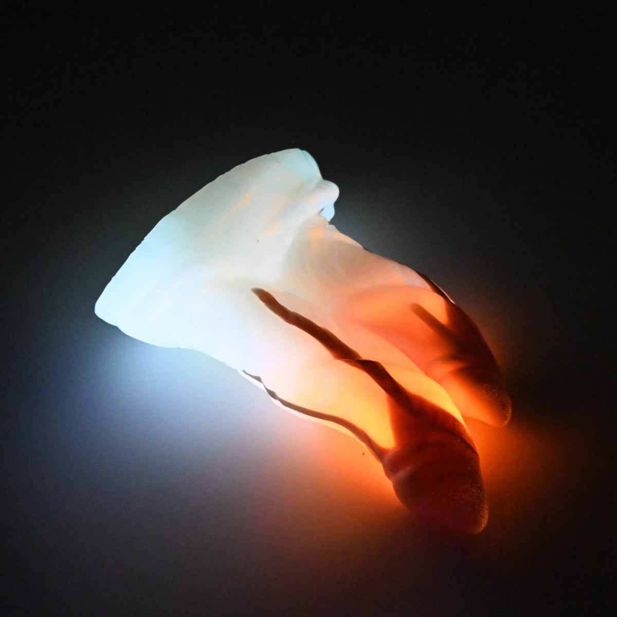 24SKL34 Vasuki Large 0030 UV GITD