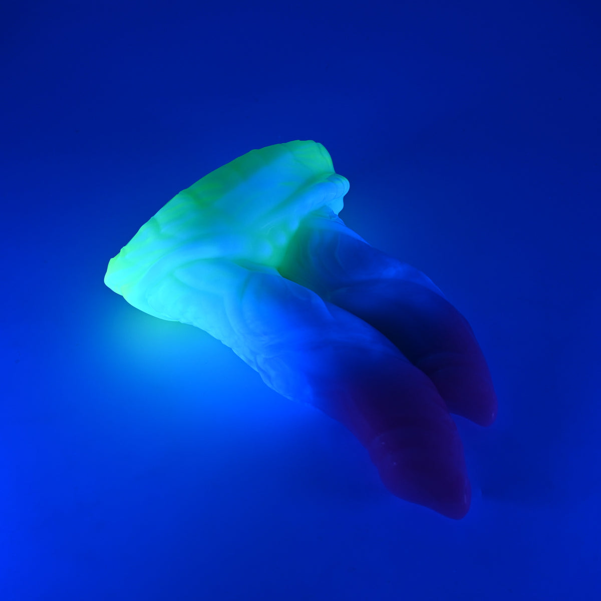 24XKL35 Vasuki Large 0020 UV GITD