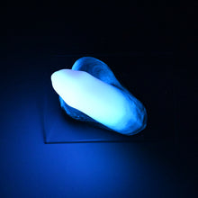 Load image into Gallery viewer, PVXJL84 Uncut Packer 0020 UV GITD *FLOP*
