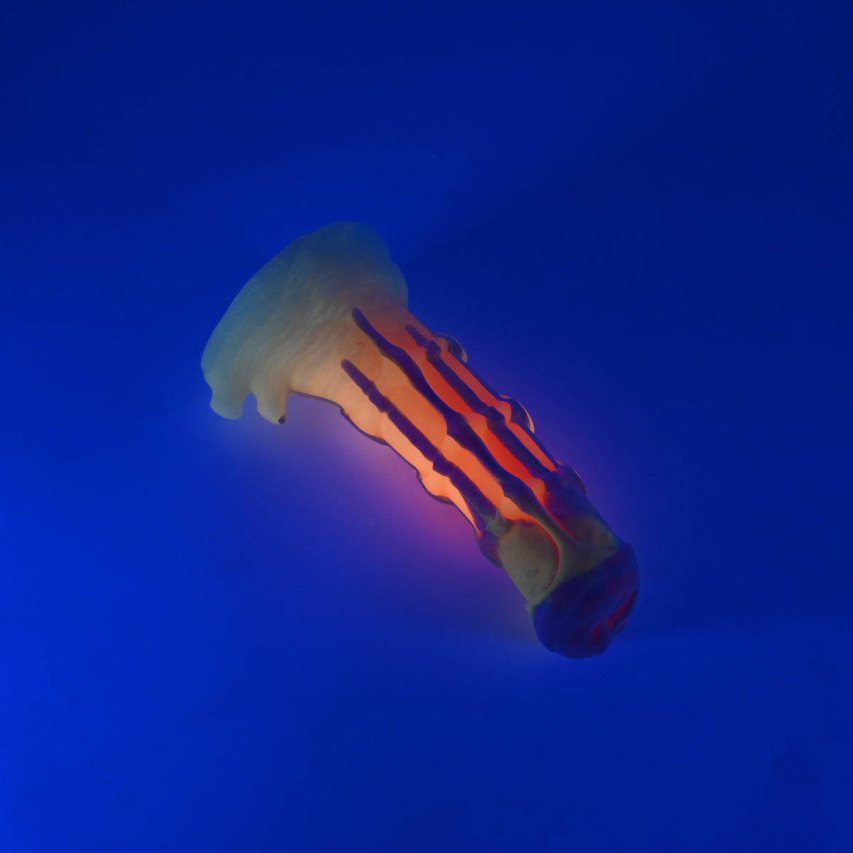 42SKL50 Helhestr Small 0030 UV GITD