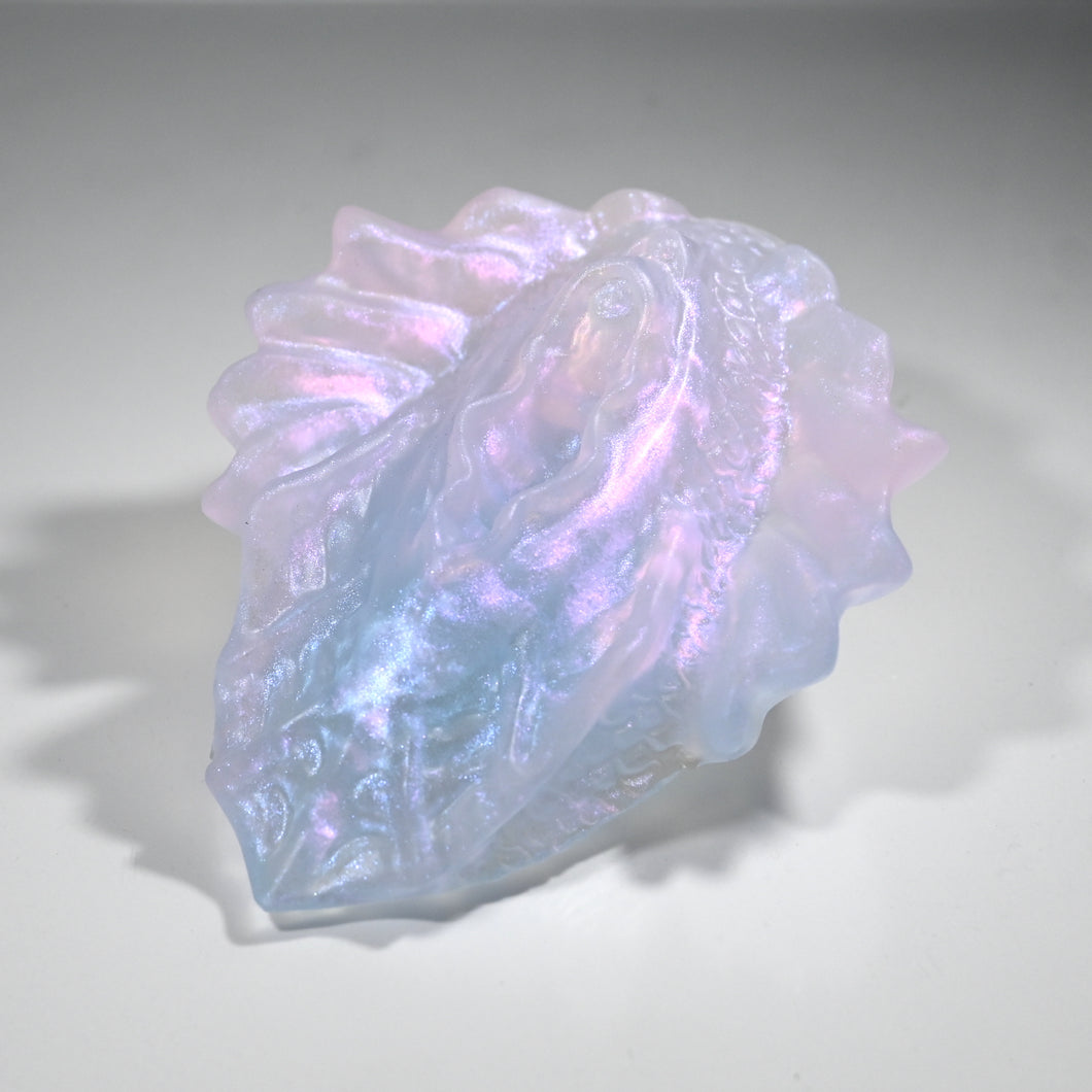 C2TFH25 Calypso Small NC 0031 CS