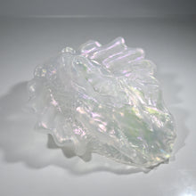 Load image into Gallery viewer, C4TFH29 Calypso Large NC 0031 CS
