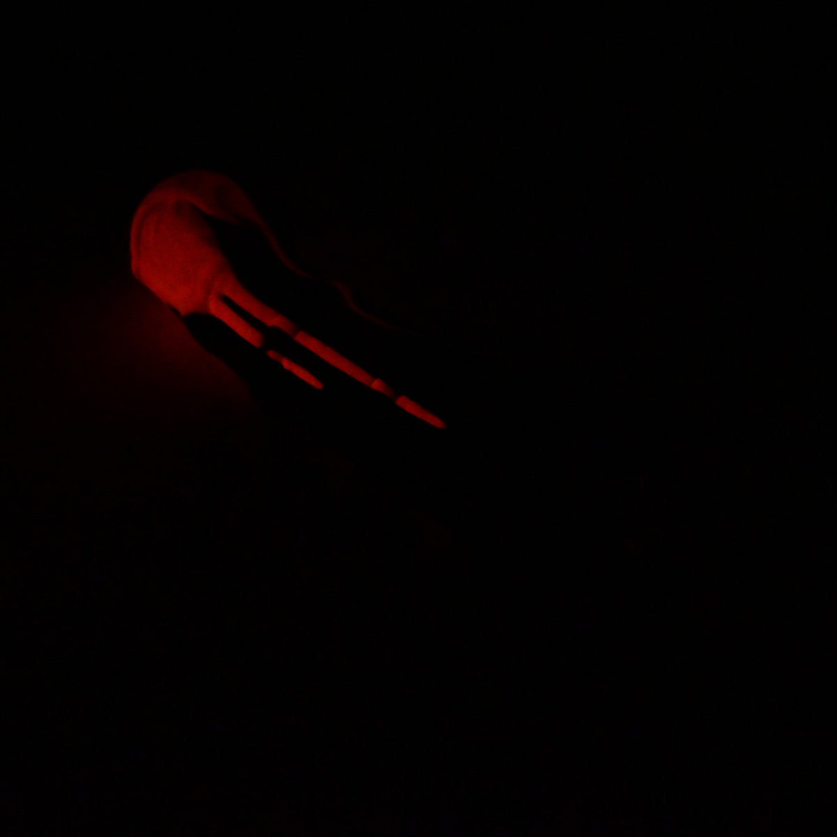 45MKL71 Helhestr XL 0050 UV GITD GOBLIN HOLE *FLOP*