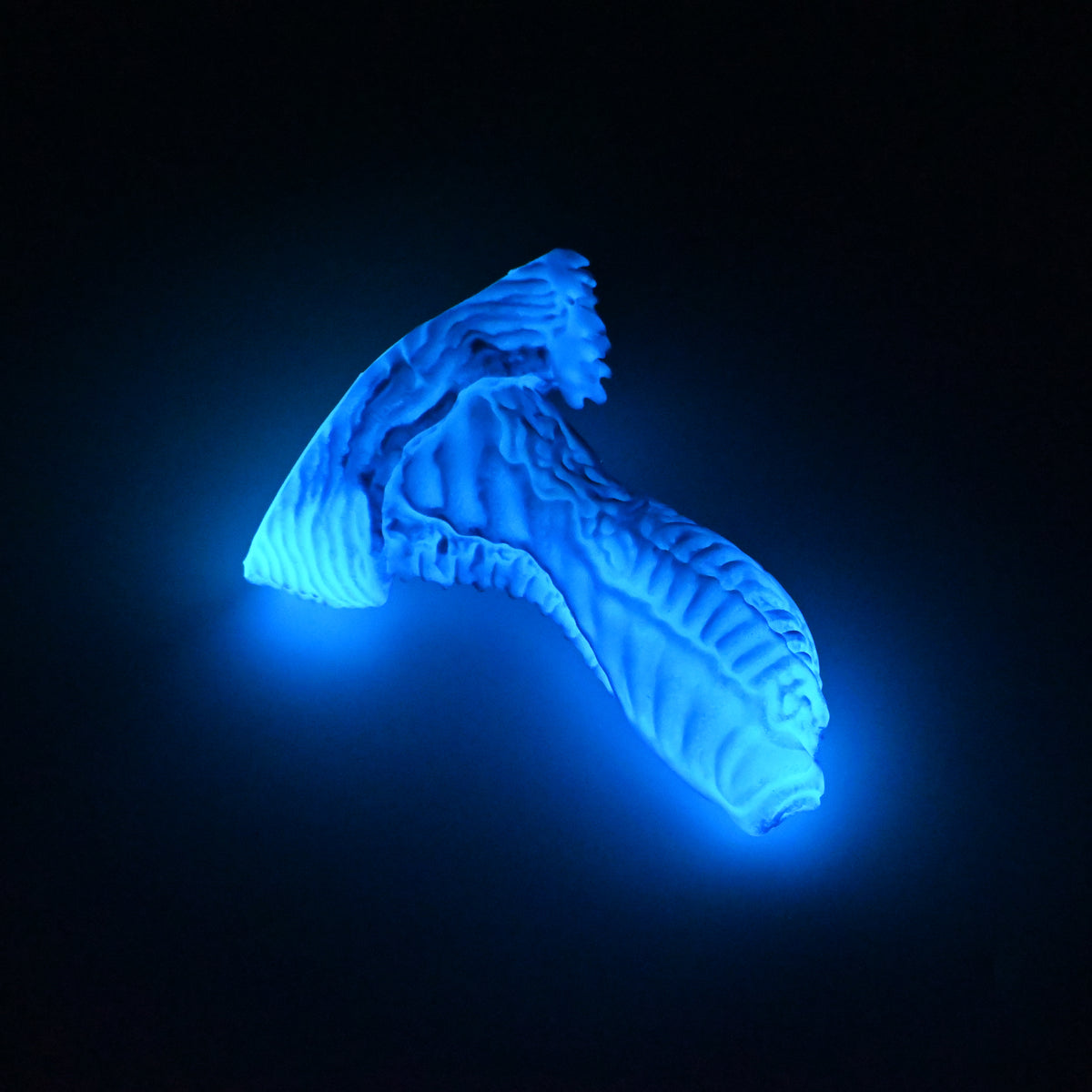 X2SKN06 Shin Small 0030 UV GITD