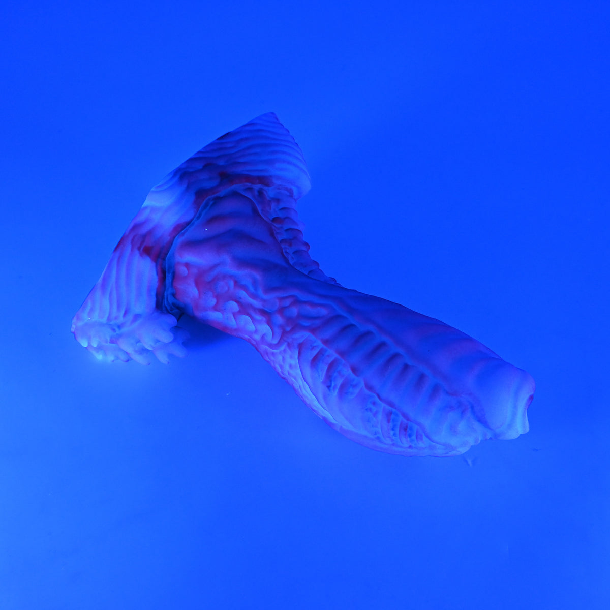 X3SKN07 Shin Medium 0030 UV GITD
