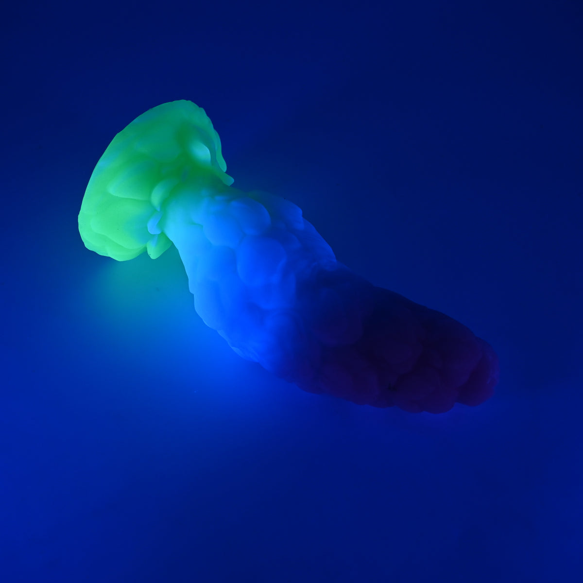 B4XKM25 Flora Large 0020 UV GITD