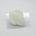 C2XKQ26 Calypso Small 0020 UV GITD