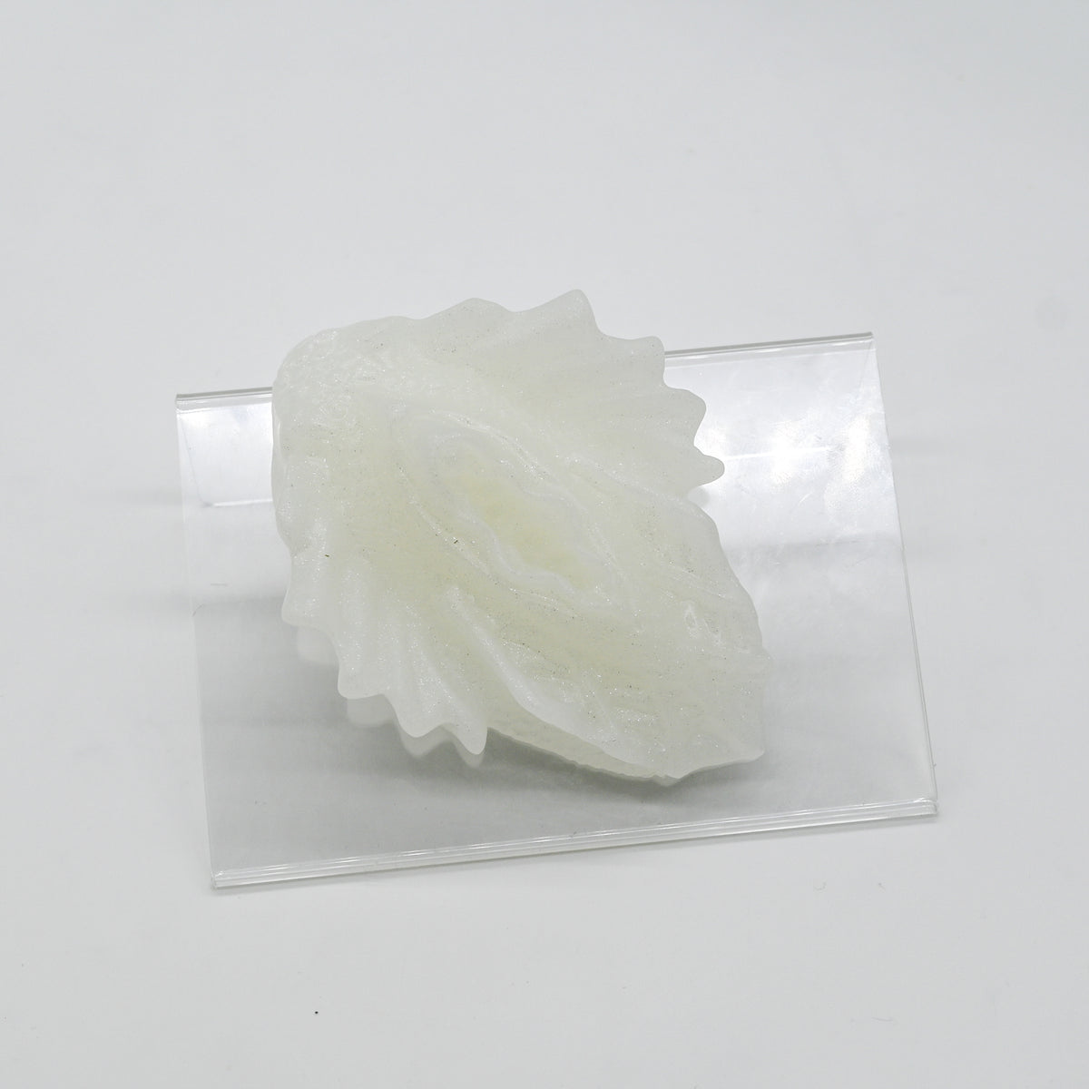 C2XKQ26 Calypso Small 0020 UV GITD