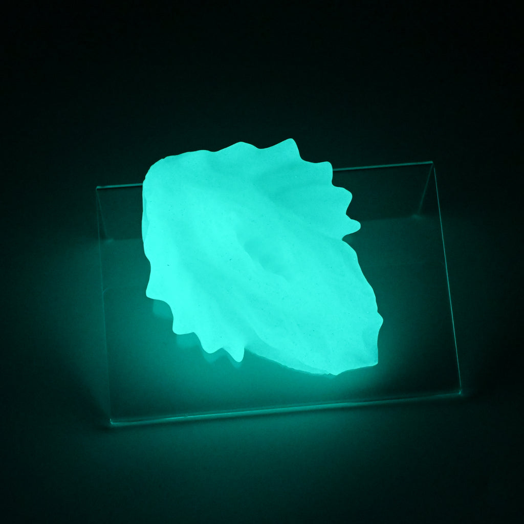 C2XKQ26 Calypso Small 0020 UV GITD